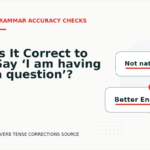 Is It Correct to Say ‘I am having a question’?